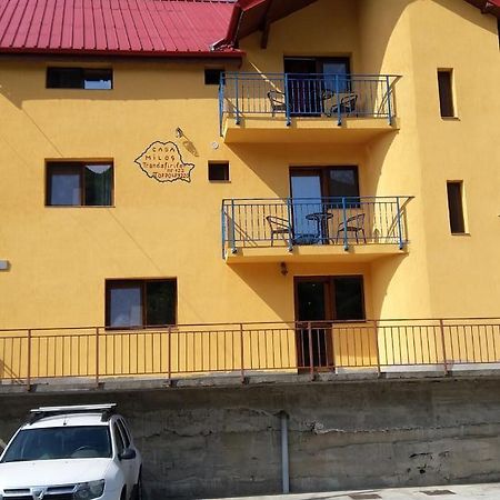 Casa Milos Si Fiul Băile Herculane Εξωτερικό φωτογραφία